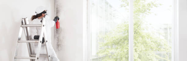 Best Air Quality Testing for Mold Spores  in Goodwell, OK
